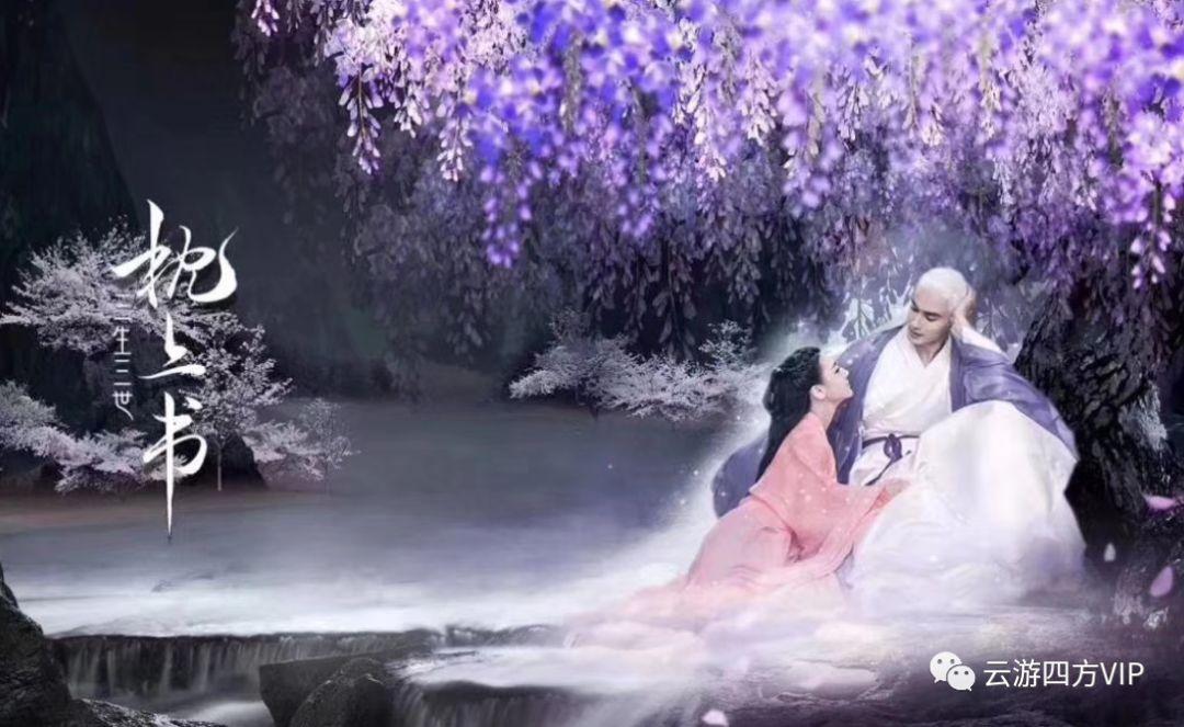 短肢领航鲸在三亚沙滩搁浅后获救,志愿者接力,日夜守护“海棠”
